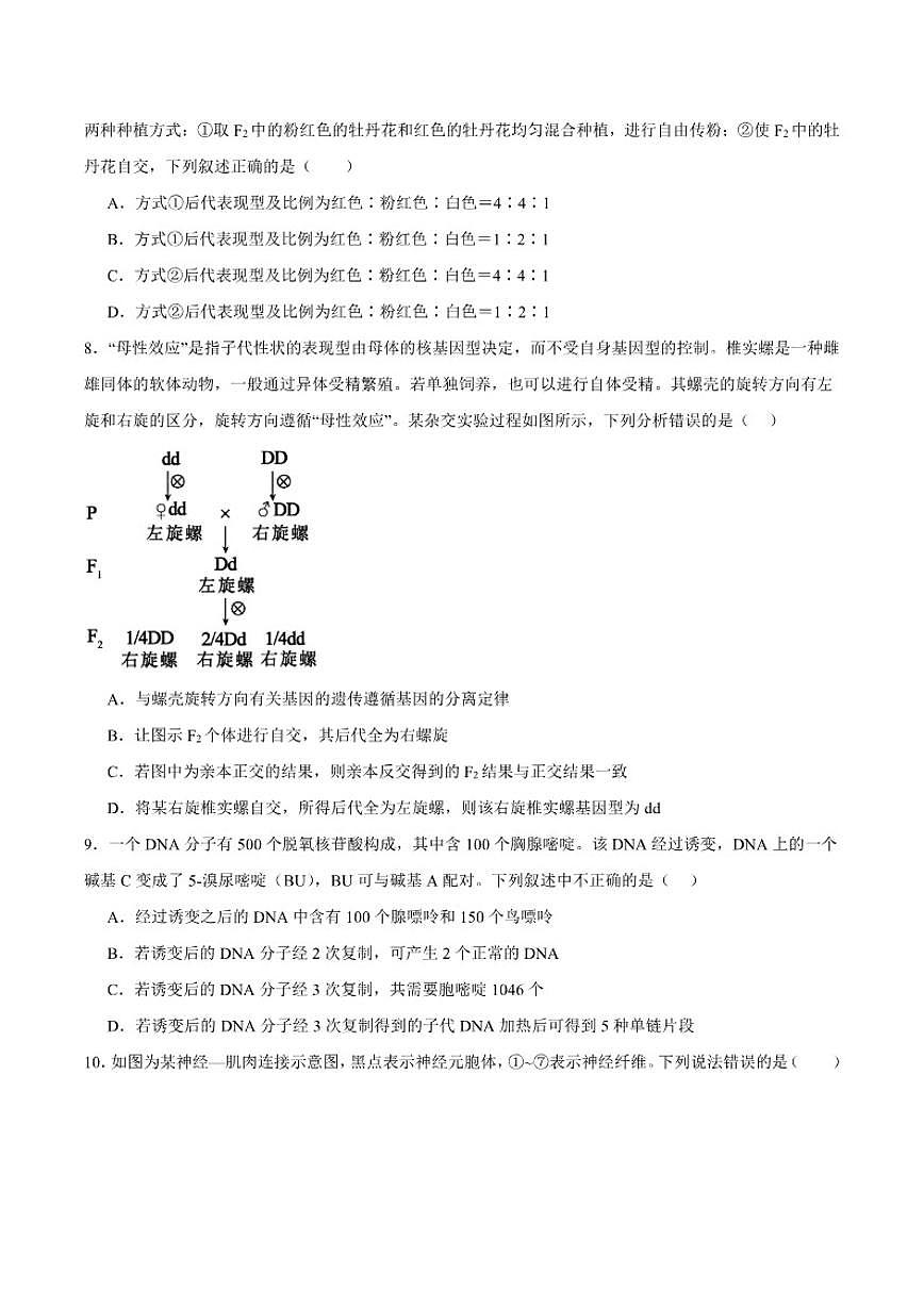 2026届湖北省八校高三上学期期末联考生物试卷（含答案）第3页