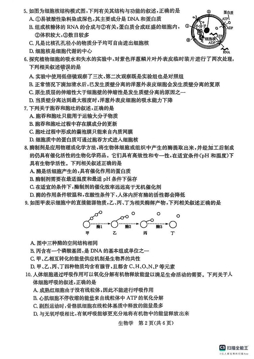 2025-2026学年黑龙江省齐齐哈尔市高一上学期1月期末生物试题（含答案）第2页