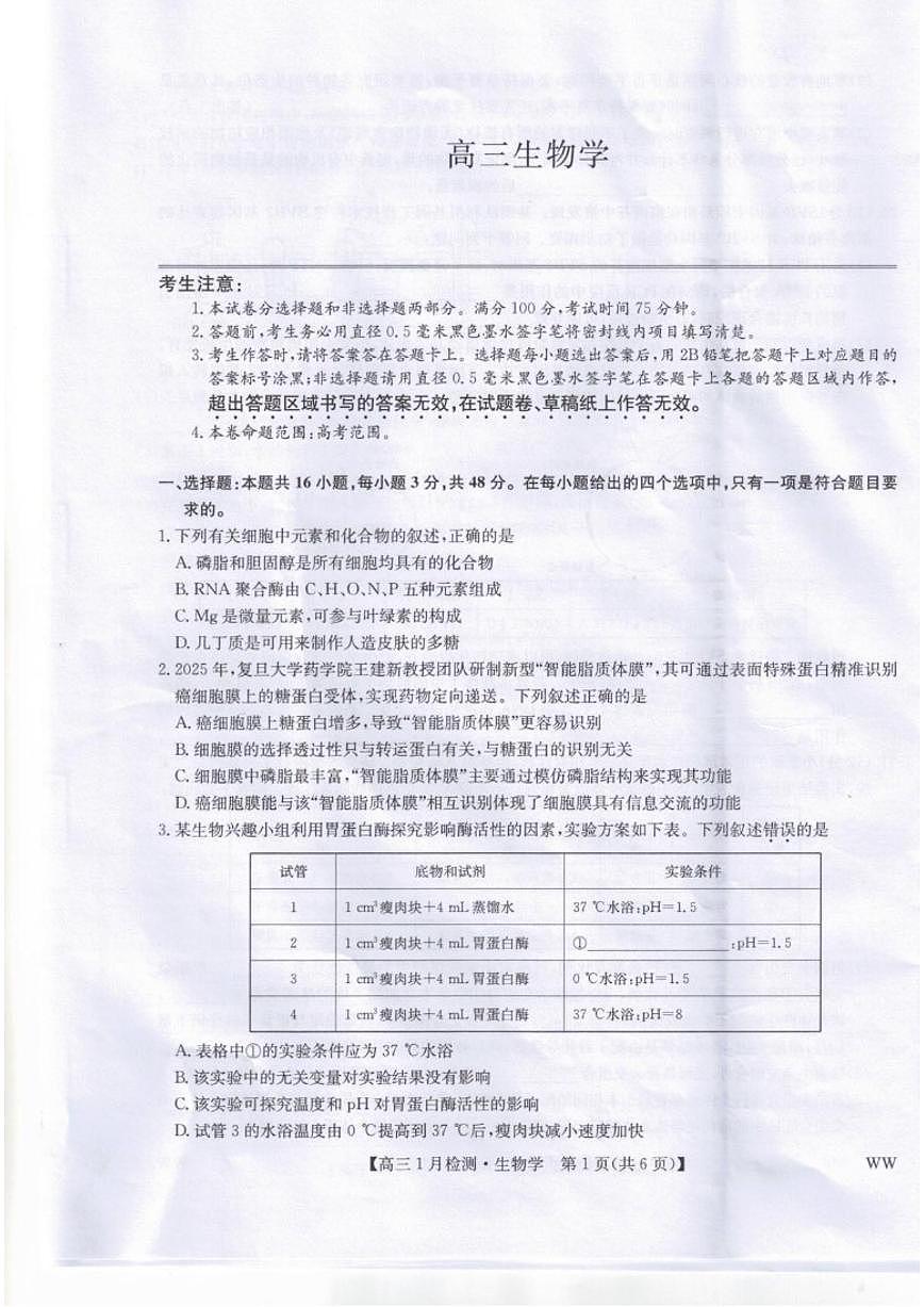 2026届甘肃省武威市高三上学期期末考试生物试卷（含答案）第1页