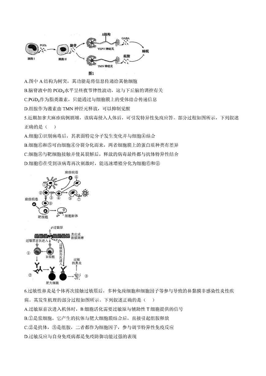 2025-2026学年辽宁省高二协作体上学期期末生物试卷（含答案）第2页