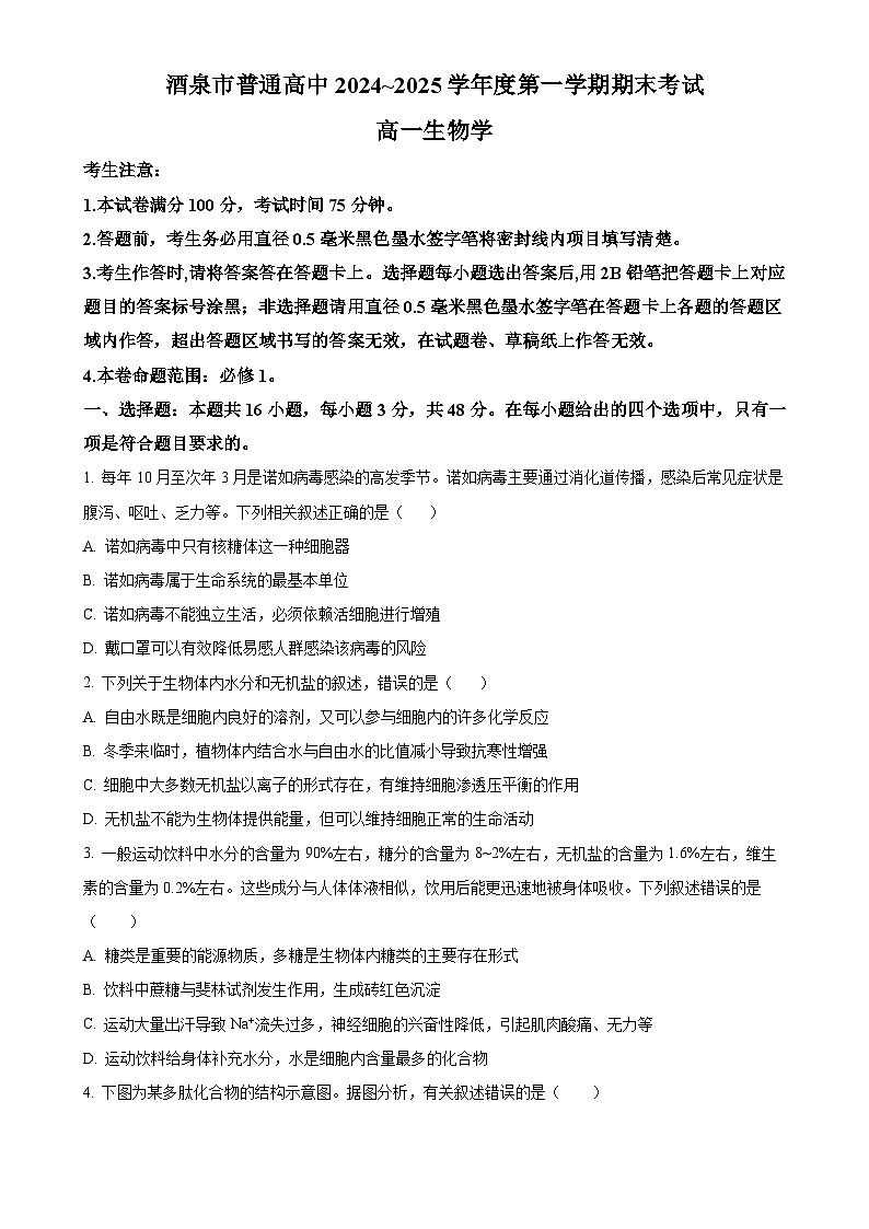 甘肃省酒泉市2024-2025学年高一上学期期末考试生物试题（原卷版）-A4第1页