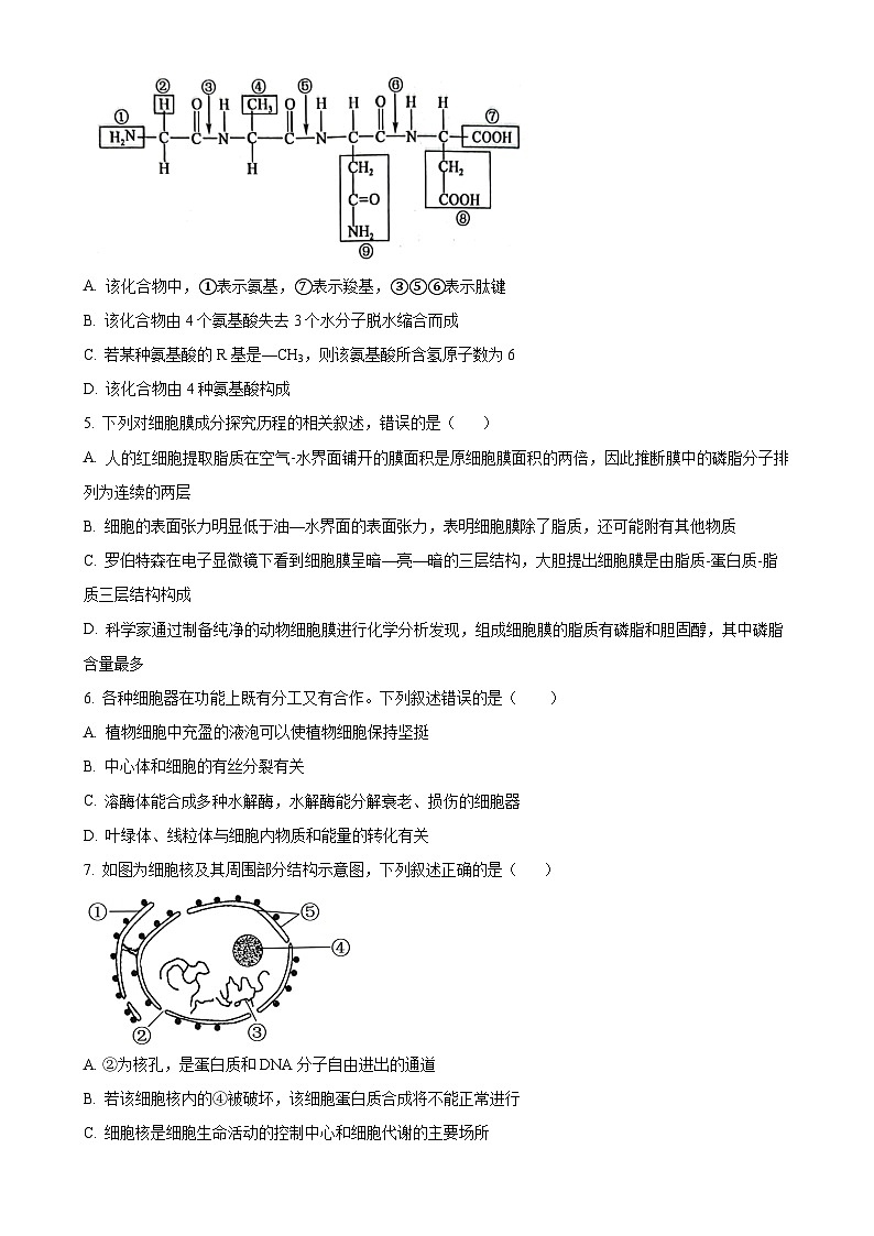 甘肃省酒泉市2024-2025学年高一上学期期末考试生物试题（原卷版）-A4第2页
