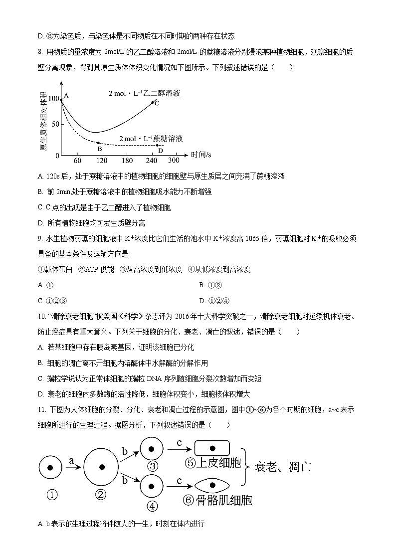 甘肃省酒泉市2024-2025学年高一上学期期末考试生物试题（原卷版）-A4第3页