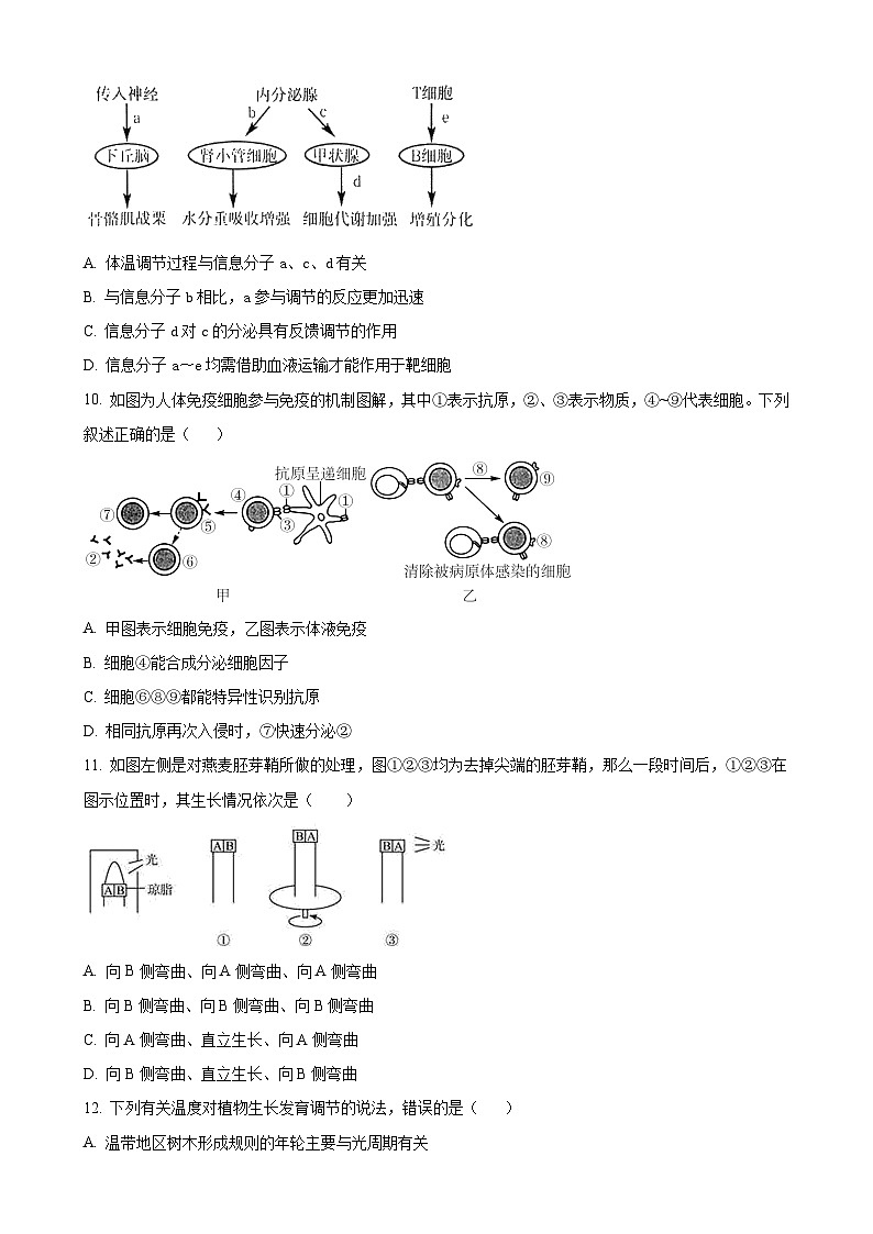 甘肃省武威市凉州区武威第八中学2024-2025学年高二上学期1月期末生物试题（原卷版）-A4第3页