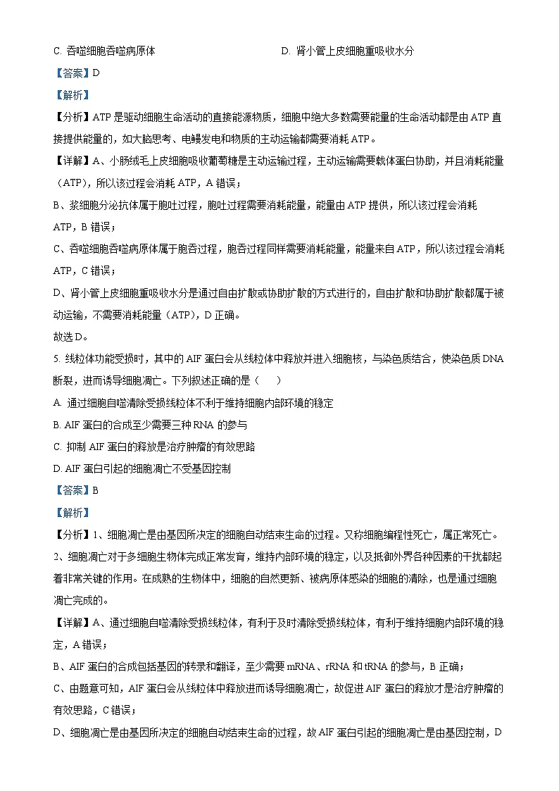 甘肃省白银市2024-2025学年高三上学期1月期末生物试题（解析版）-A4第3页