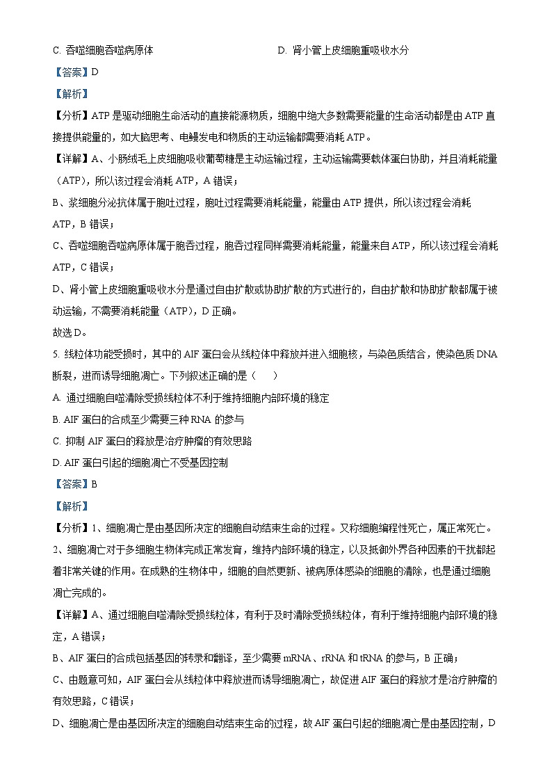 甘肃省白银市2024-2025学年高三上学期1月期末生物试题（解析版）-A4第3页
