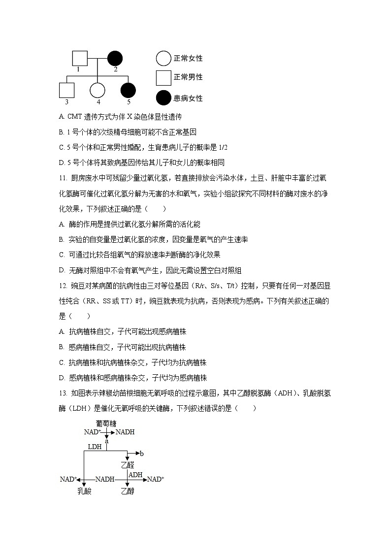 2025-2026学年广东省清远市联考高二上学期11月期中生物试卷（学生版）第3页