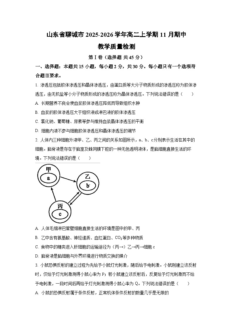 2025-2026学年山东省聊城市高二上学期11月期中教学质量检测生物试卷（学生版）第1页