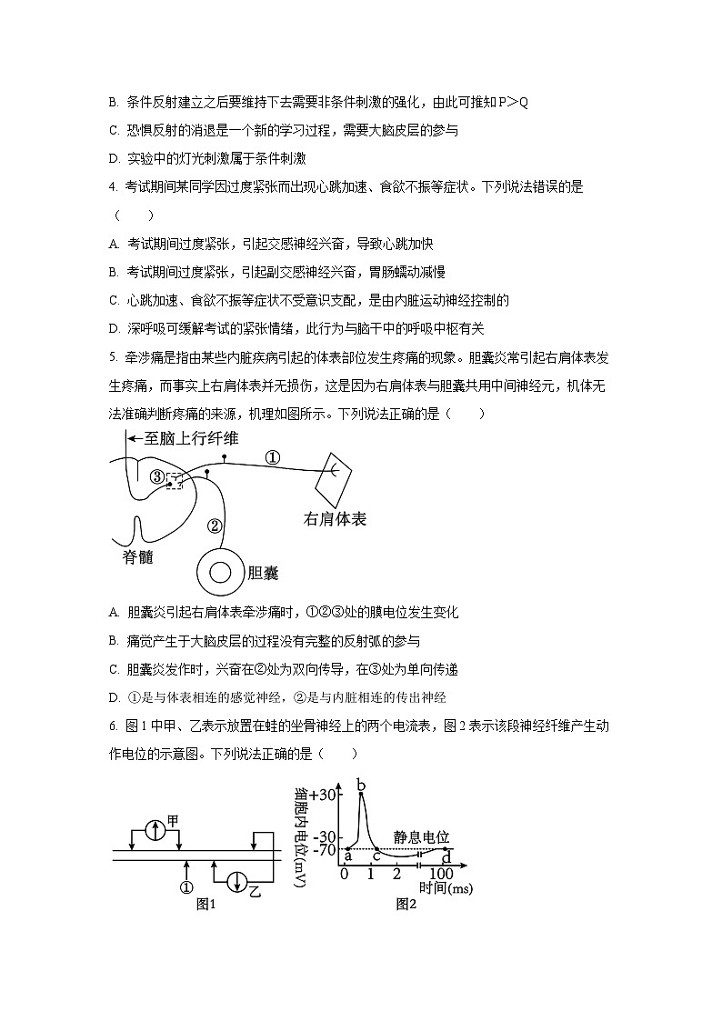 2025-2026学年山东省聊城市高二上学期11月期中教学质量检测生物试卷（学生版）第2页