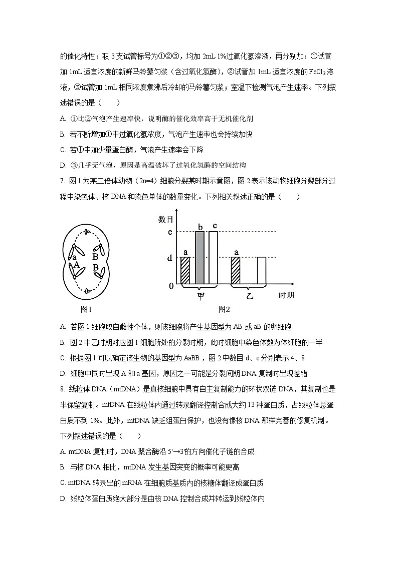 2025-2026学年安徽省A10联盟高三上学期12月检测生物试卷（学生版）第3页