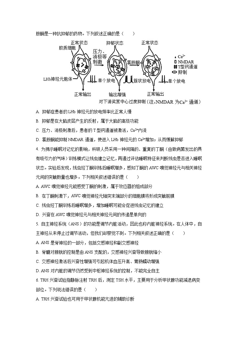 2025-2026学年天津市河西区高二上学期11月期中生物试卷（学生版）第2页