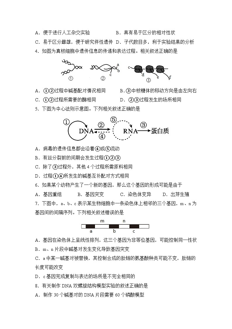 河南省信阳高级中学北湖校区2023-2024学年高一下期06月测试（A）生物试题（无答案）第2页