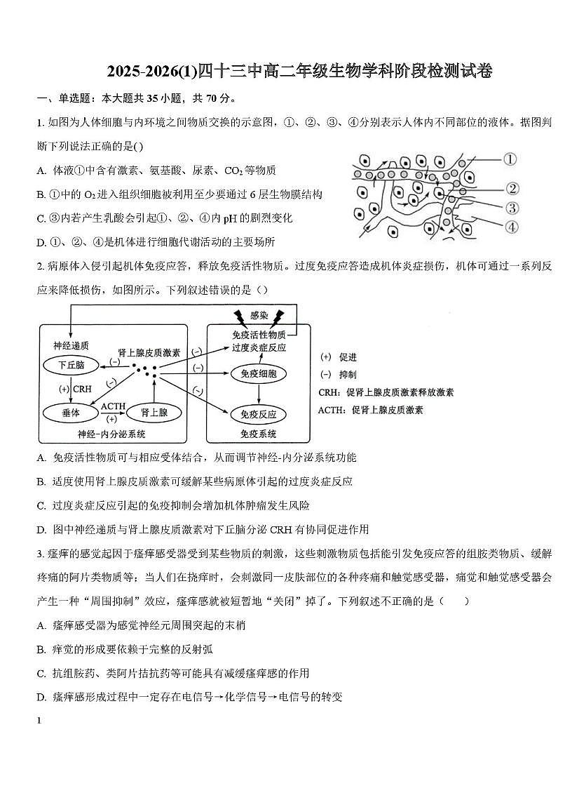 天津市第四十三中学2025-2026学年高二上学期第二次月考生物试卷第1页