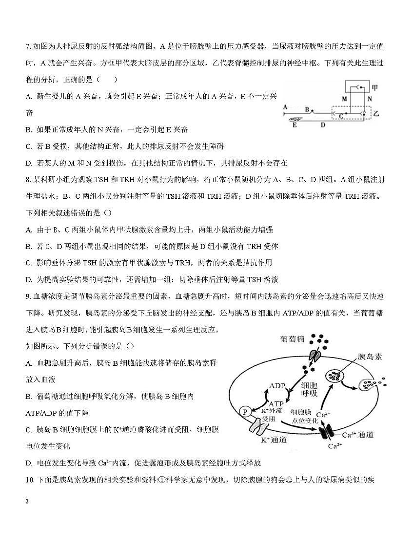 天津市第四十三中学2025-2026学年高二上学期第二次月考生物试卷第3页