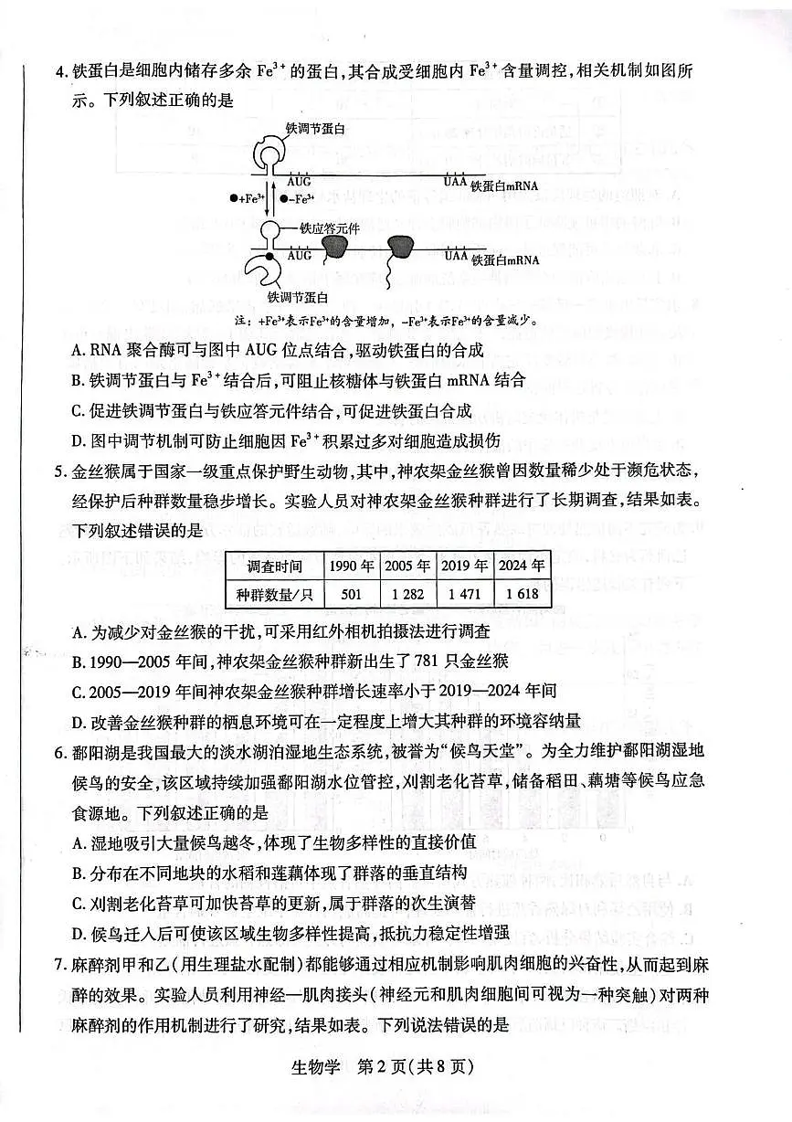 安徽省天一联考2025-2026学年高三上学期1月月考生物试题第2页
