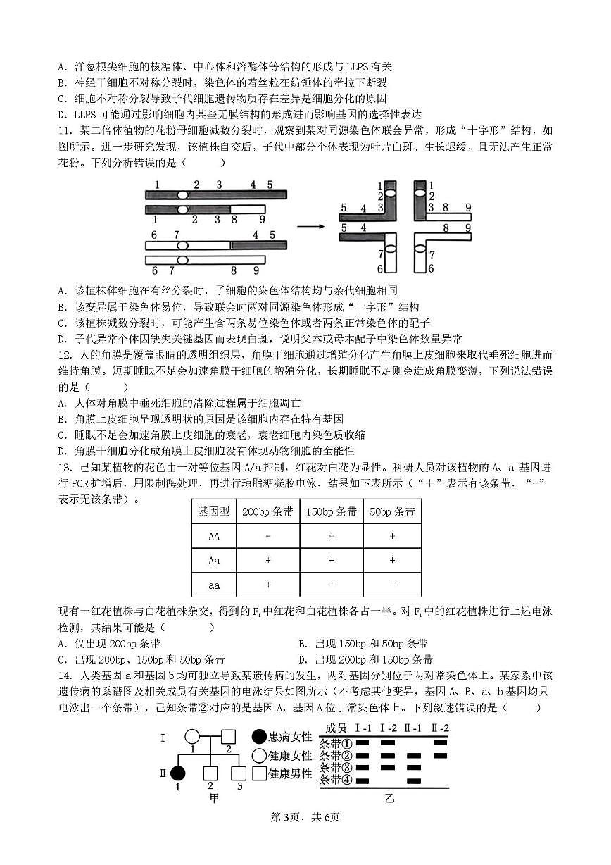 陕西省西安市铁一中2025-2026学年高三上学期12月月考生物试卷第3页