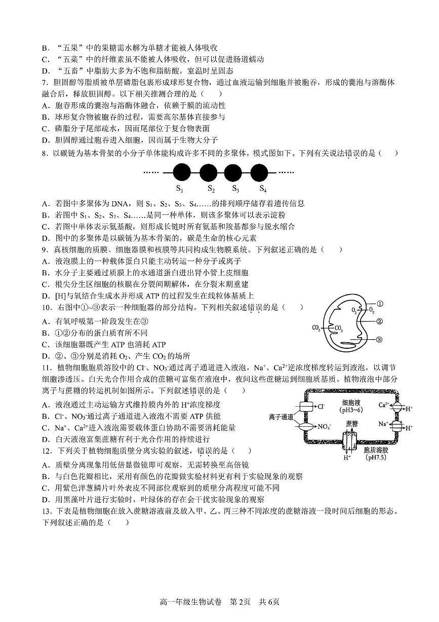 安徽省合肥市六校联盟2024-2025学年高一上学期1月期末考试生物试卷（无答案）第2页