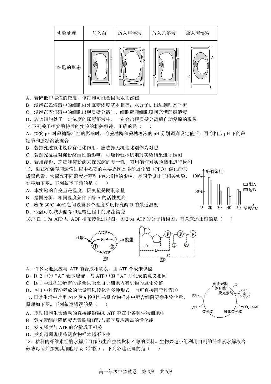 安徽省合肥市六校联盟2024-2025学年高一上学期1月期末考试生物试卷（无答案）第3页