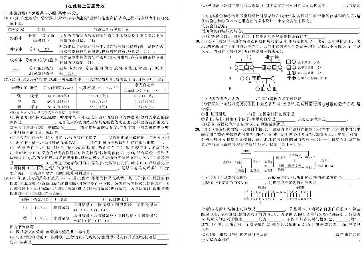 安徽省示范高中培优联盟2024-2025学年高一下学期春季联赛生物学试卷（图片版，含解析）第3页