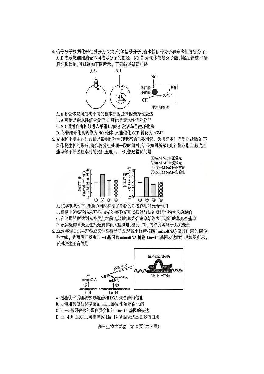 生物丨湖北省荆州市2026届高三上学期1月质量检测(荆州宜昌荆门元调)试卷及答案第2页