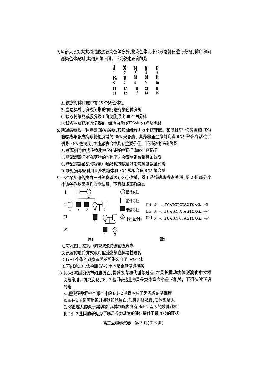 生物丨湖北省荆州市2026届高三上学期1月质量检测(荆州宜昌荆门元调)试卷及答案第3页