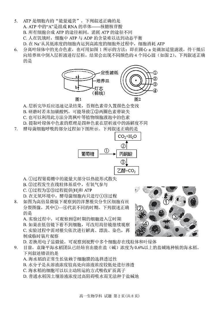 浙江省浙东北县域名校发展联盟2024-2025学年高一下学期4月期中生物试题（无答案）第2页