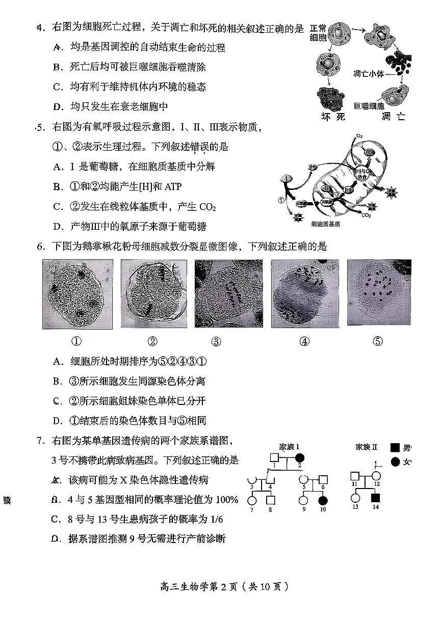 2026北京房山高三（上）期末生物试卷第2页