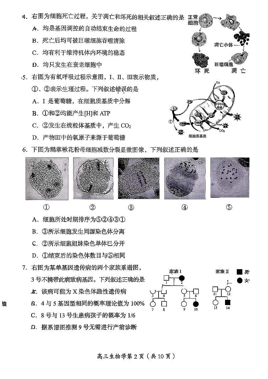 2026北京房山高三（上）期末生物试卷第2页