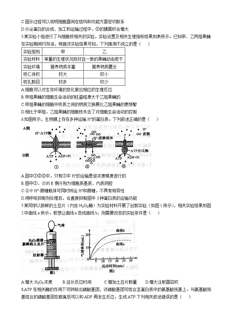 河北省石家庄市七县联合体联考2025-2026学年高一上学期1月月考生物试题第2页