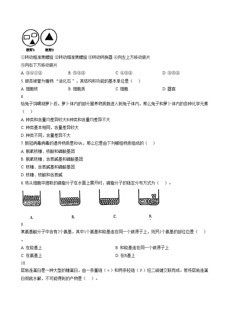 上海市宝山区行知中学2025_2026学年高一上学期期中生物试卷(文字版含答案)第2页
