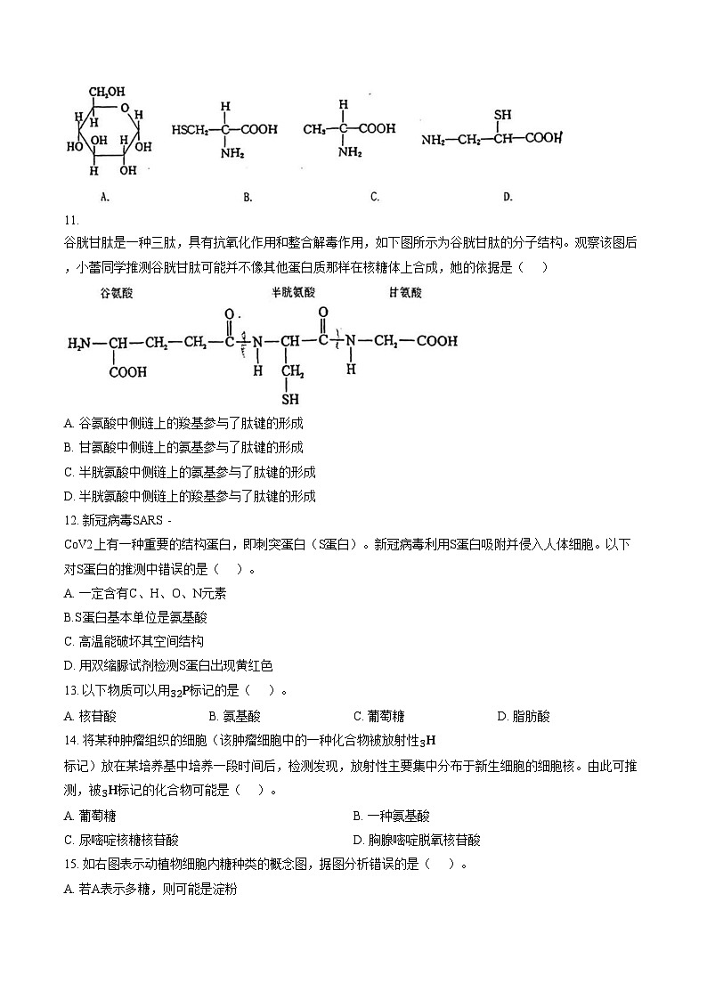 上海市宝山区行知中学2025_2026学年高一上学期期中生物试卷(文字版含答案)第3页