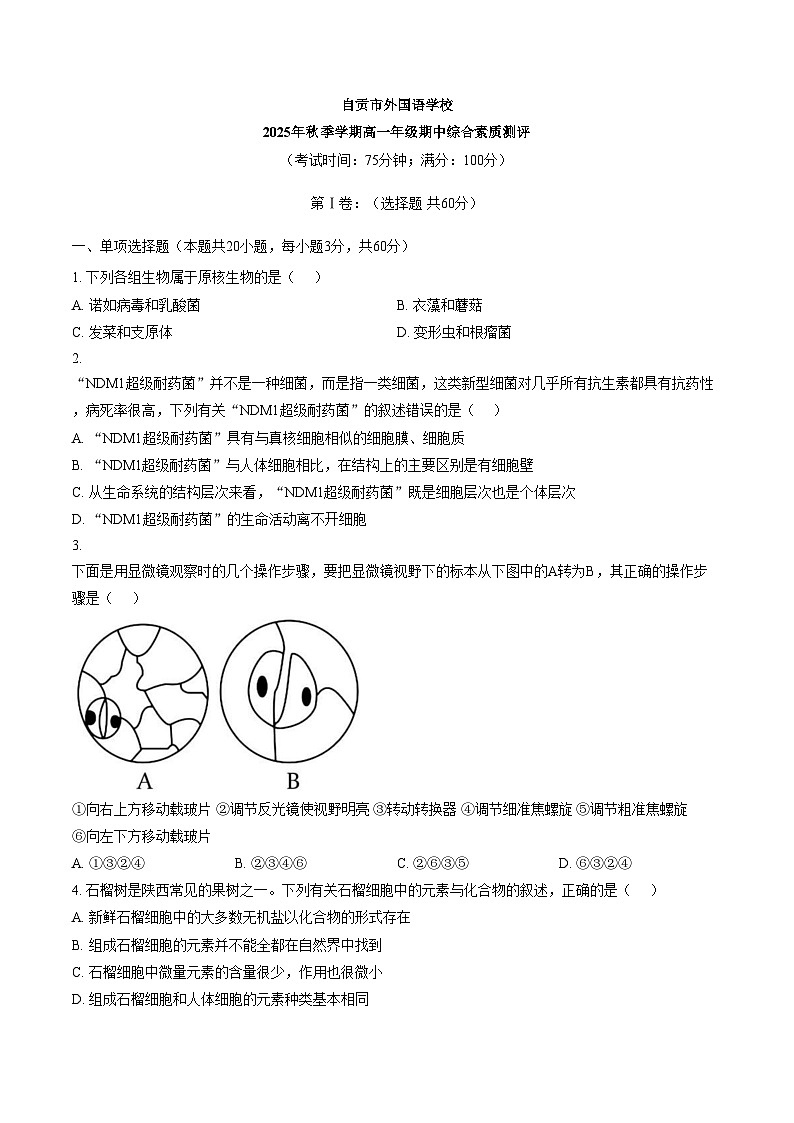 四川省自贡市第四中学校2025_2026学年高一上学期期中综合素质测评生物试卷（文字版，含答案）第1页