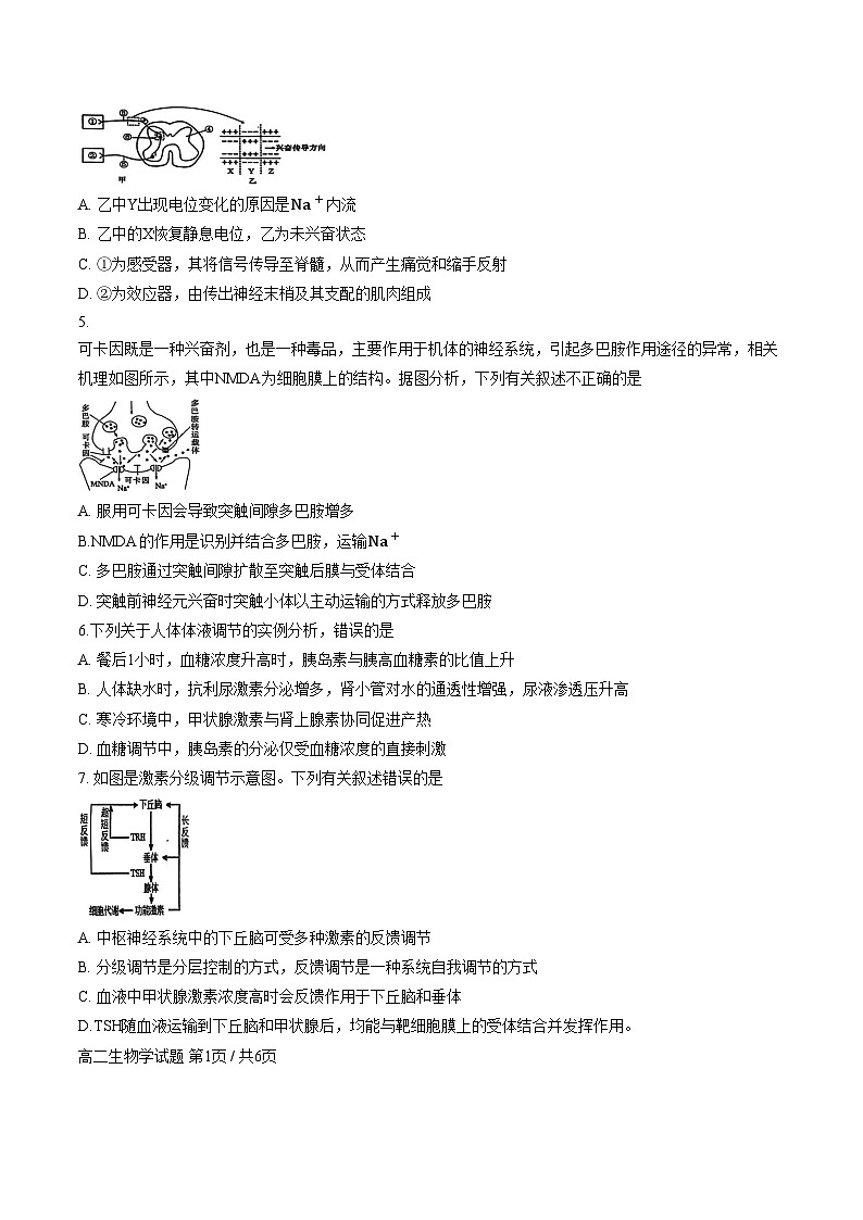 内蒙古锡林郭勒盟2025_2026学年高二上学期期末全盟统考生物试题（文字版，含答案）第2页