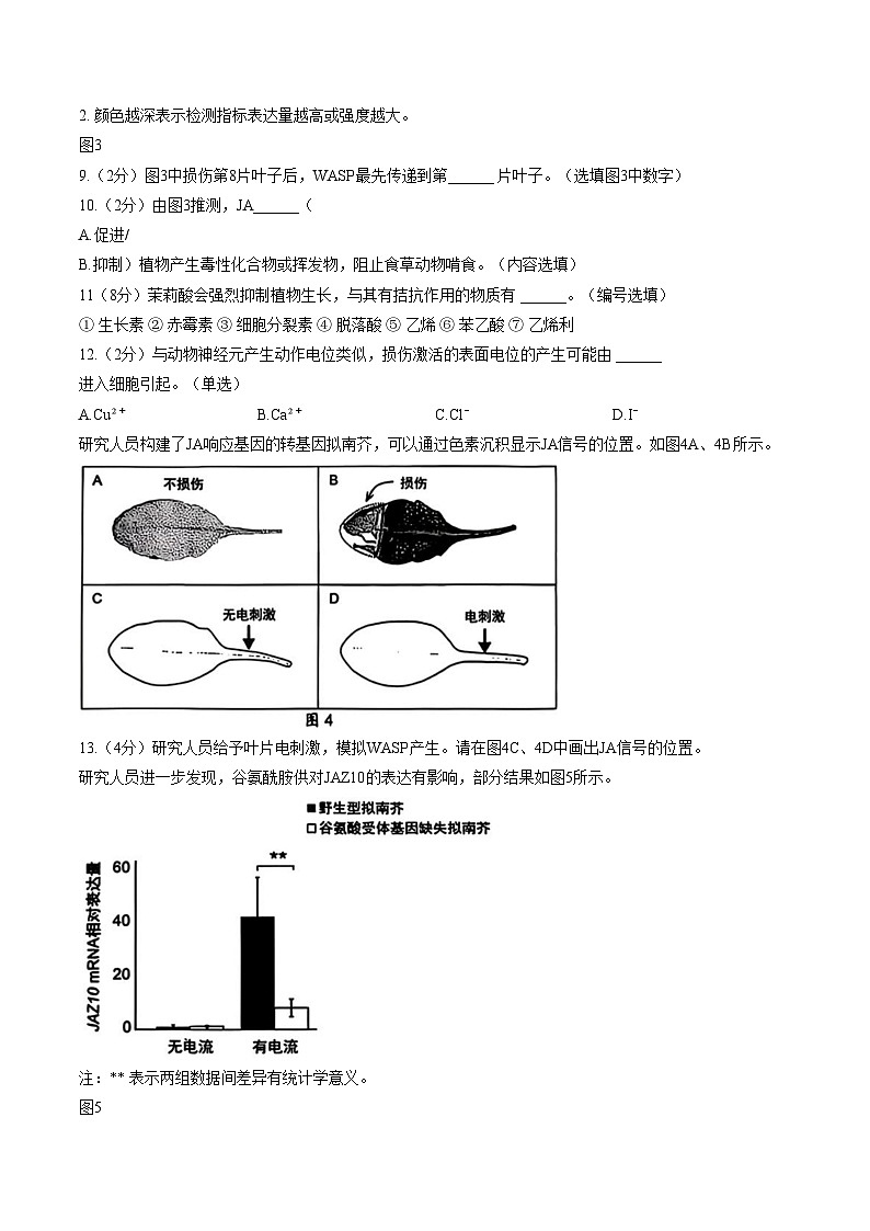 上海市七宝中学2025_2026学年高三上学期期中考试生物试卷（文字版，含答案）第3页
