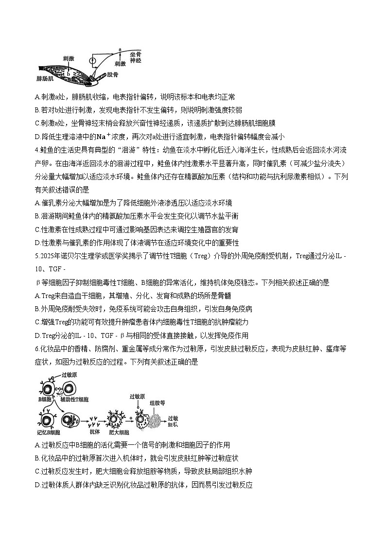陕西省安康市高新中学2025_2026学年高二上学期1月月考生物试题（文字版，含答案）第2页
