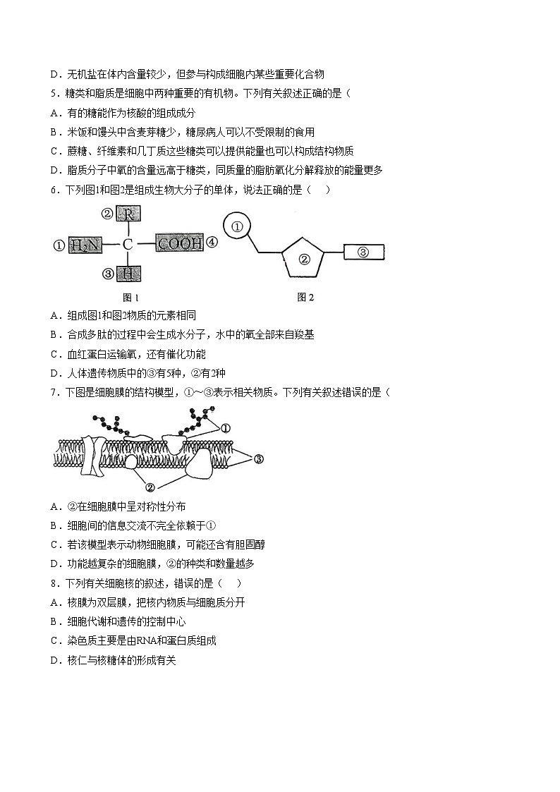 福建省南平市武夷山第二中学2025_2026学年高一上学期1月月考生物试题（文字版，含答案）第2页