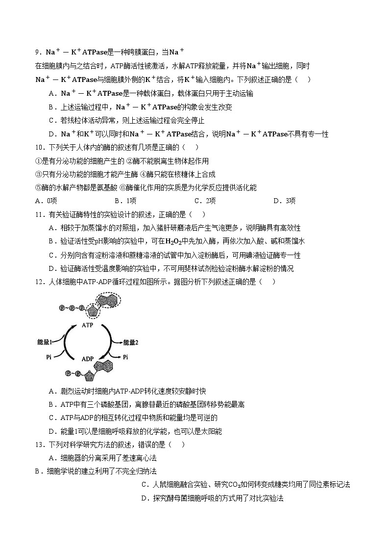 福建省南平市武夷山第二中学2025_2026学年高一上学期1月月考生物试题（文字版，含答案）第3页