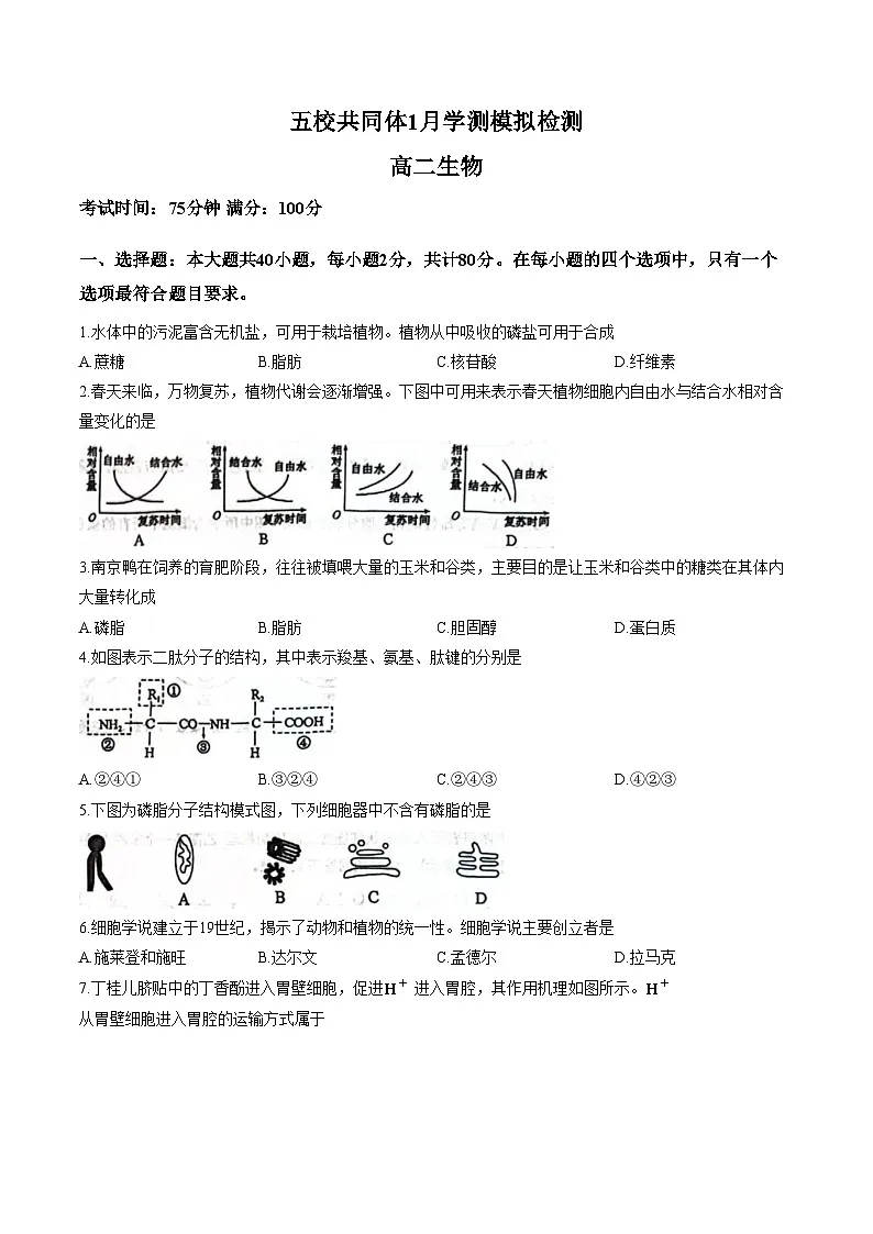 江苏省南京市五校共同体2025_2026学年高二上学期1月学测模拟检测生物试题（文字版，含答案）第1页
