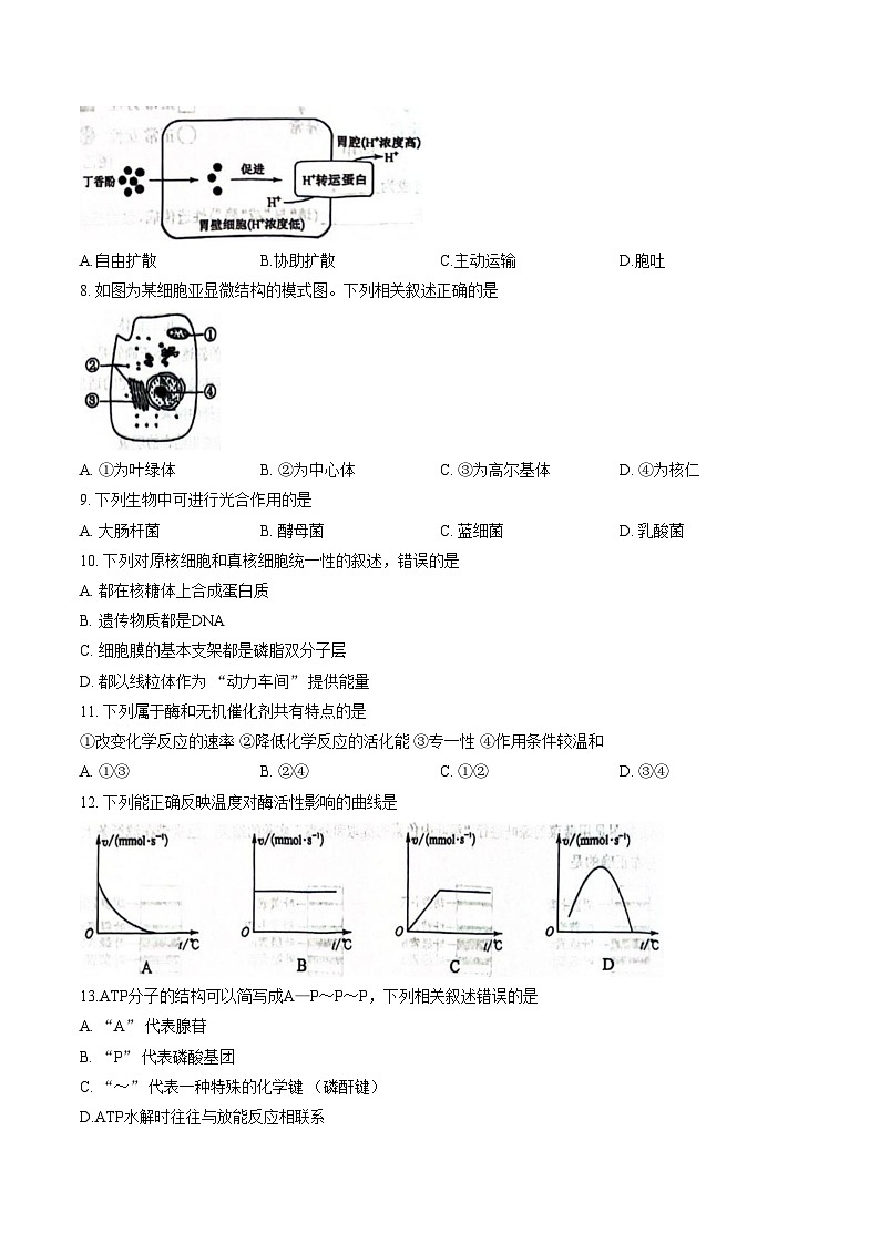 江苏省南京市五校共同体2025_2026学年高二上学期1月学测模拟检测生物试题（文字版，含答案）第2页