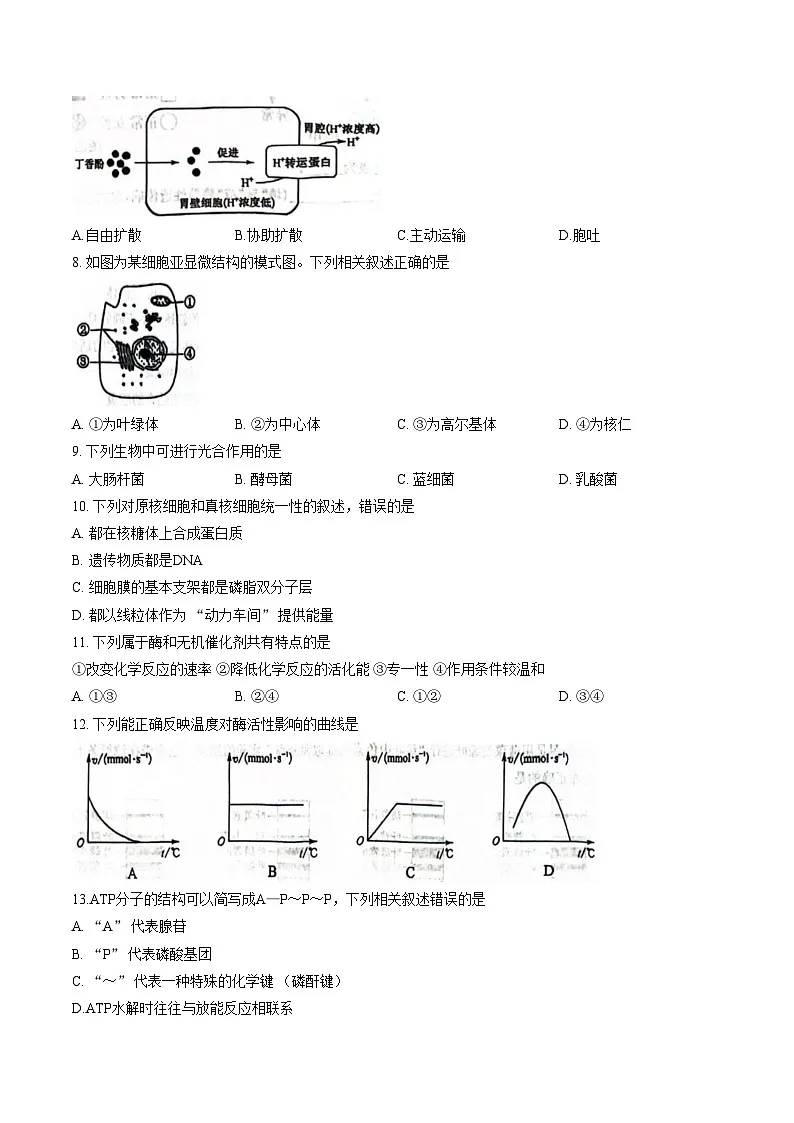 江苏省南京市五校共同体2025_2026学年高二上学期1月学测模拟检测生物试题（文字版，含答案）第2页