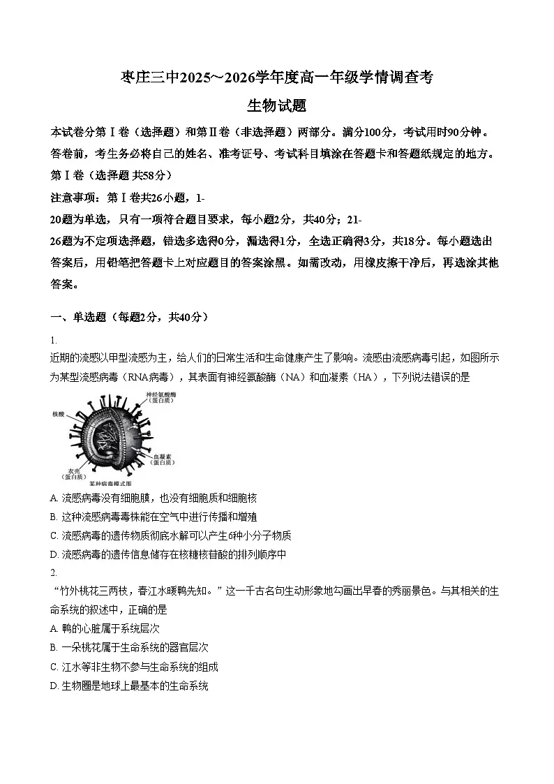 山东省枣庄市市中区枣庄市第三中学2025_2026学年高一上学期1月月考生物试题（文字版，含答案）第1页
