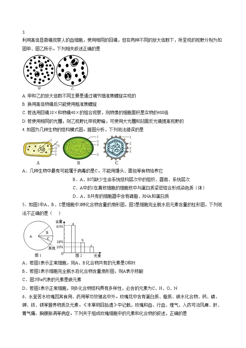 山东省枣庄市市中区枣庄市第三中学2025_2026学年高一上学期1月月考生物试题（文字版，含答案）第2页