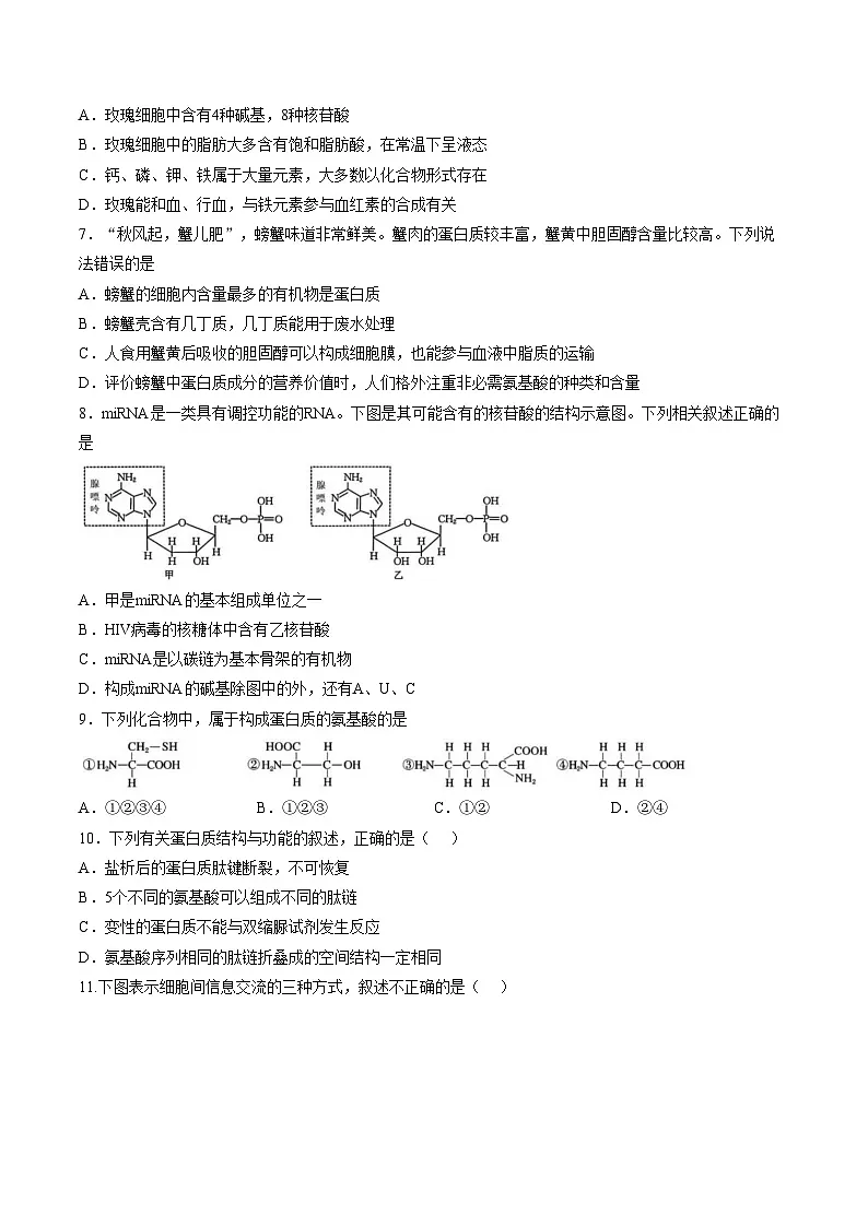 山东省枣庄市市中区枣庄市第三中学2025_2026学年高一上学期1月月考生物试题（文字版，含答案）第3页