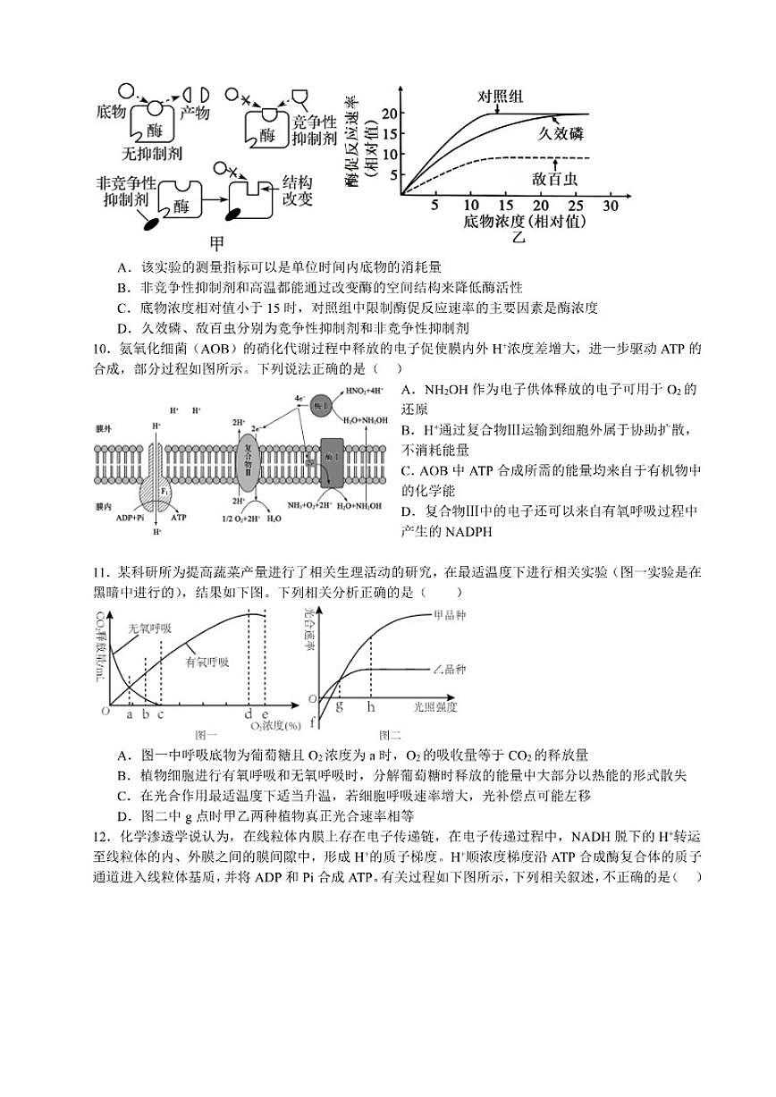 2025-2026学年山东省烟台市龙口某校高一上12月测试生物试题（有答案）第3页