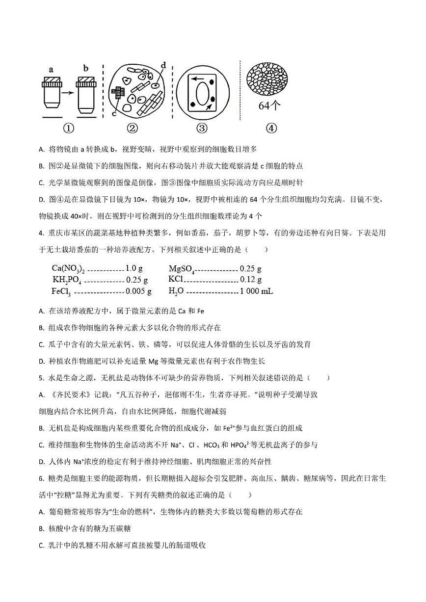 2025-2026学年重庆市名校联盟高一上学期第一次联合考试（期中）生物试卷（有答案）第2页
