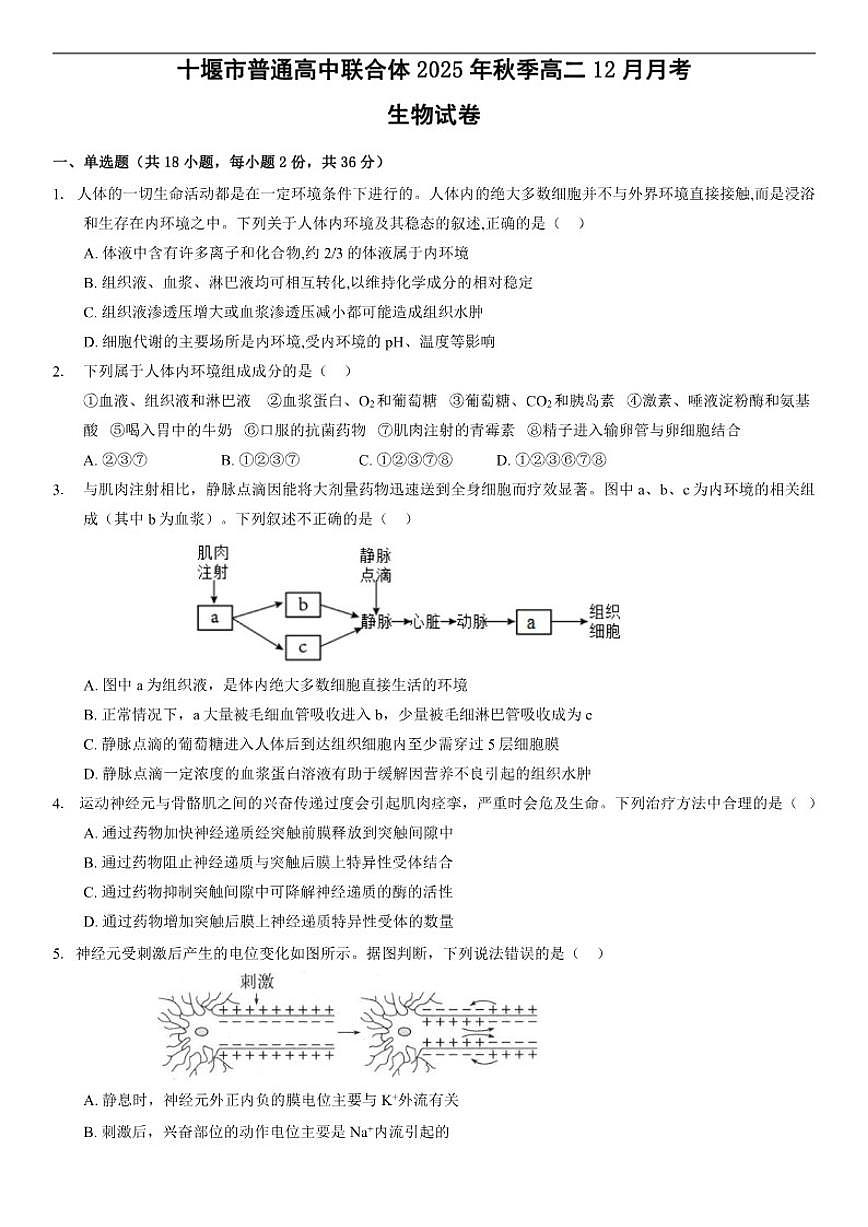 2025-2026学年湖北省十堰市普通高中联合体高二上学期12月月考生物试卷（有答案）第1页