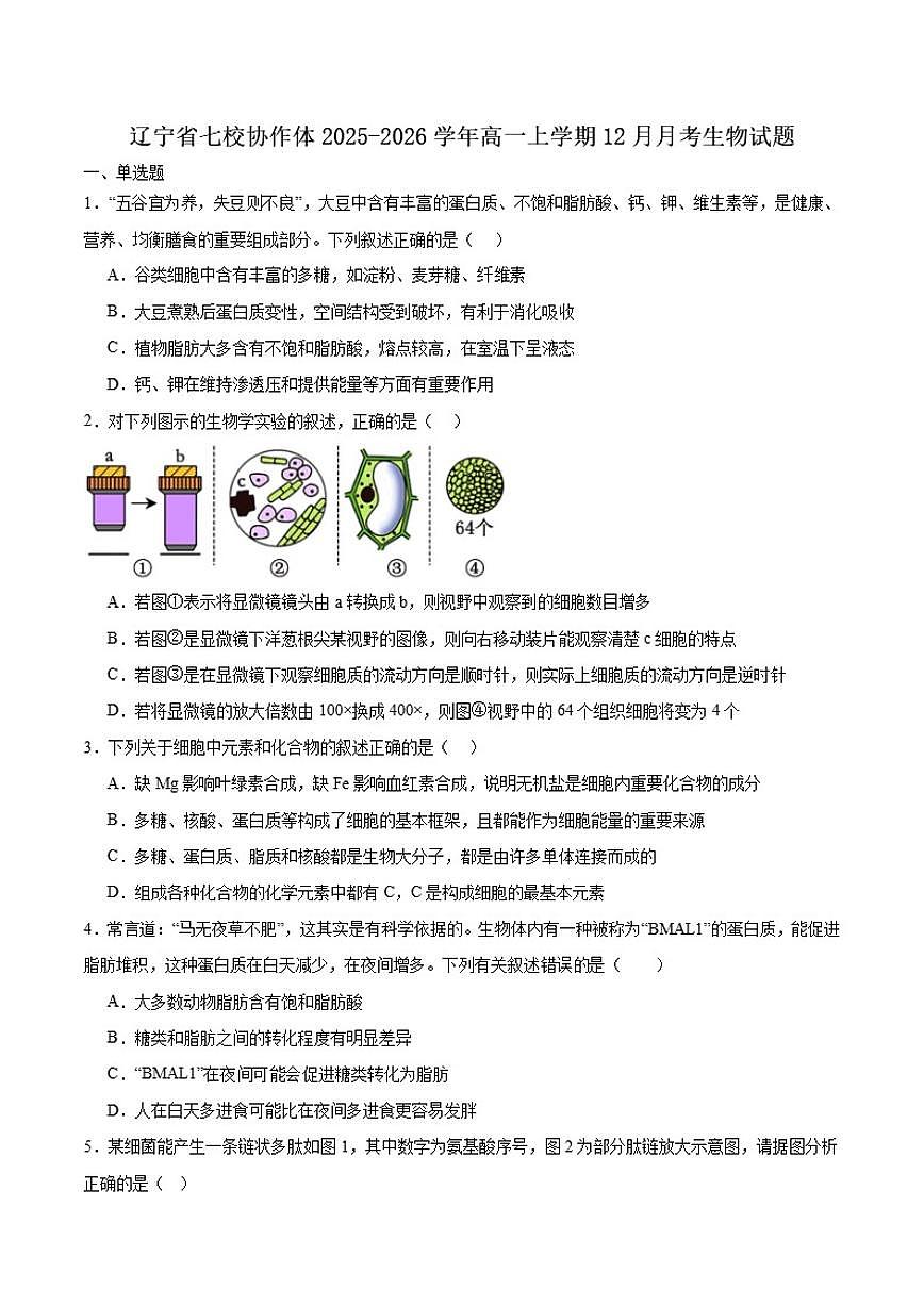 2025-2026学年辽宁省七校协作体高一上学期12月联考生物试卷（有答案）第1页