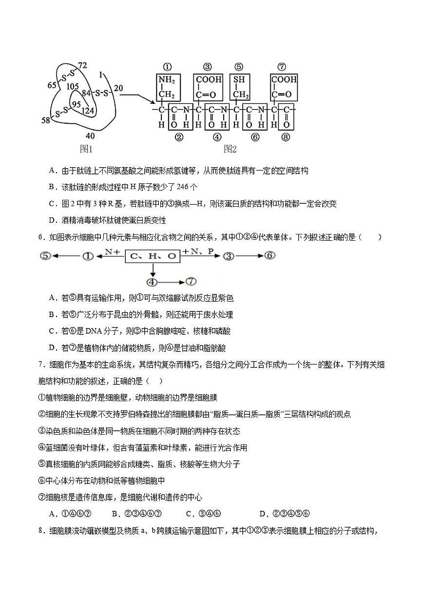 2025-2026学年辽宁省七校协作体高一上学期12月联考生物试卷（有答案）第2页