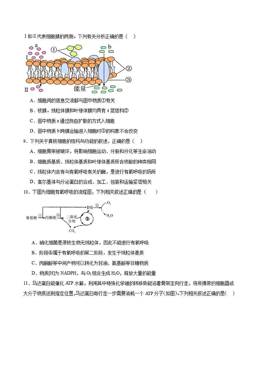 2025-2026学年辽宁省七校协作体高一上学期12月联考生物试卷（有答案）第3页