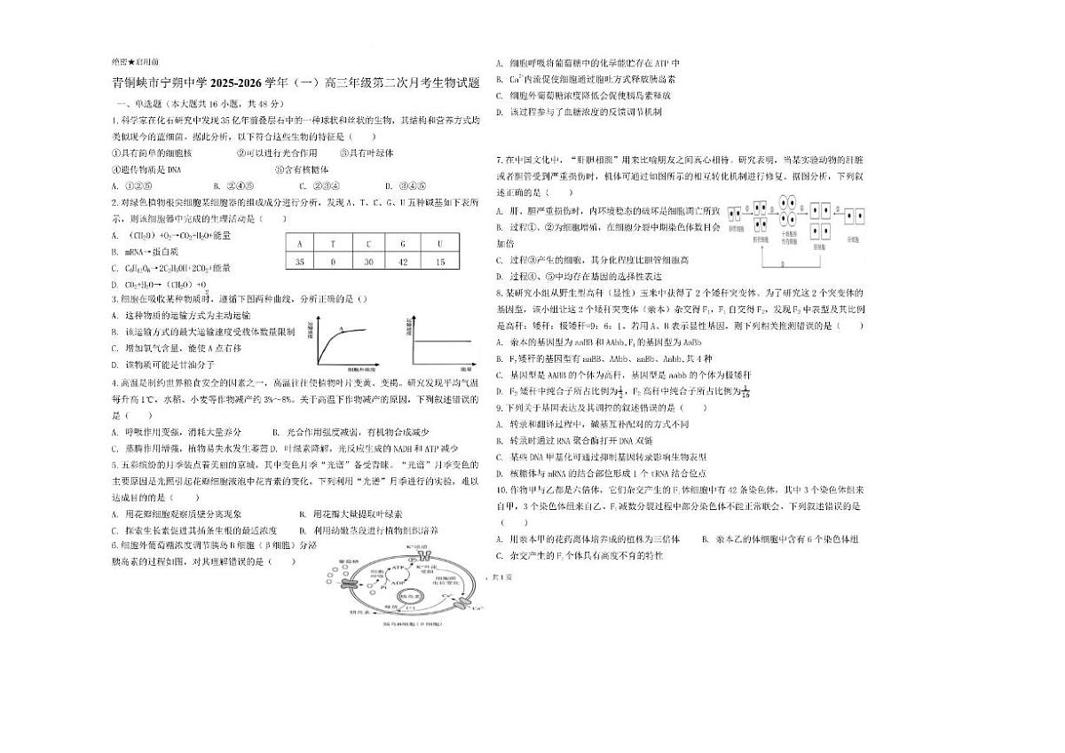 2025-2026学年宁夏回族自治区青铜峡市宁朔中学高三上学期12月考试生物试题（有答案）第1页